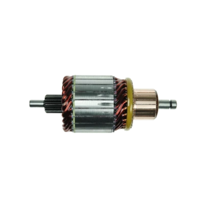 INDUZIDO BOSCH 1004011072